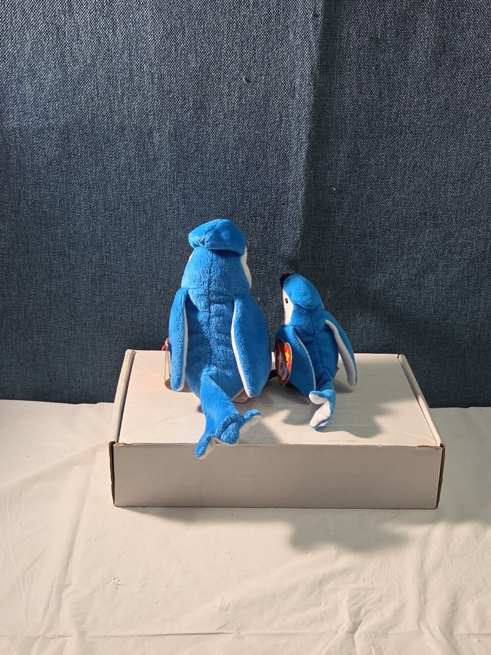 Ty Beanie Baby Rocket the Blue Jay Set Standard & Teenie Beanie 1998 NWT Bird - Picture 12 of 16